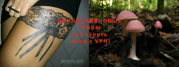 молекула духа Абинск