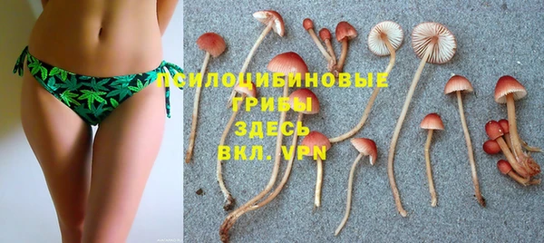 молекула духа Абинск