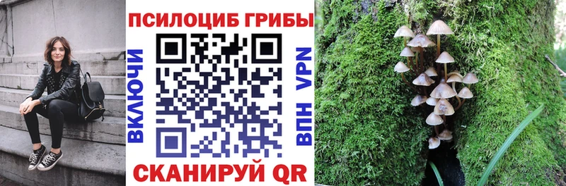 Галлюциногенные грибы Psilocybine cubensis  Новосиль 