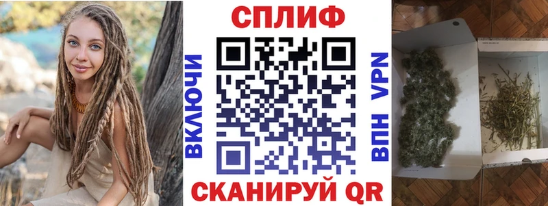 купить закладку  Новосиль  Канабис Amnesia 